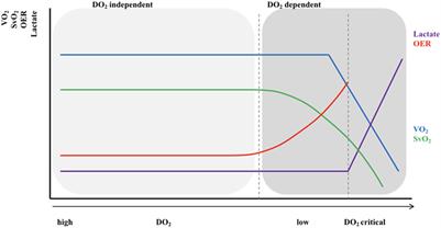 Neonatal Hemodynamics: From Developmental Physiology to Comprehensive Monitoring